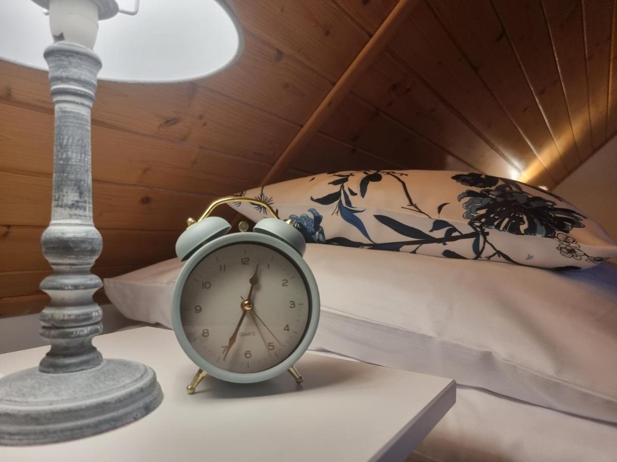 Vila Naszjestwasz Gorki Male  Exteriér fotografie
