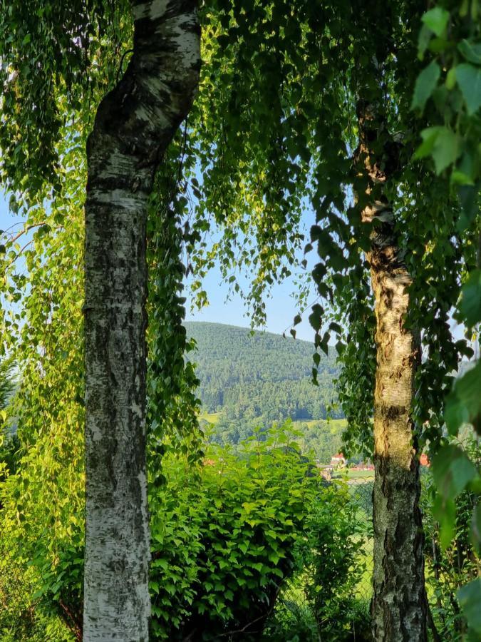 Vila Naszjestwasz Gorki Male  Exteriér fotografie